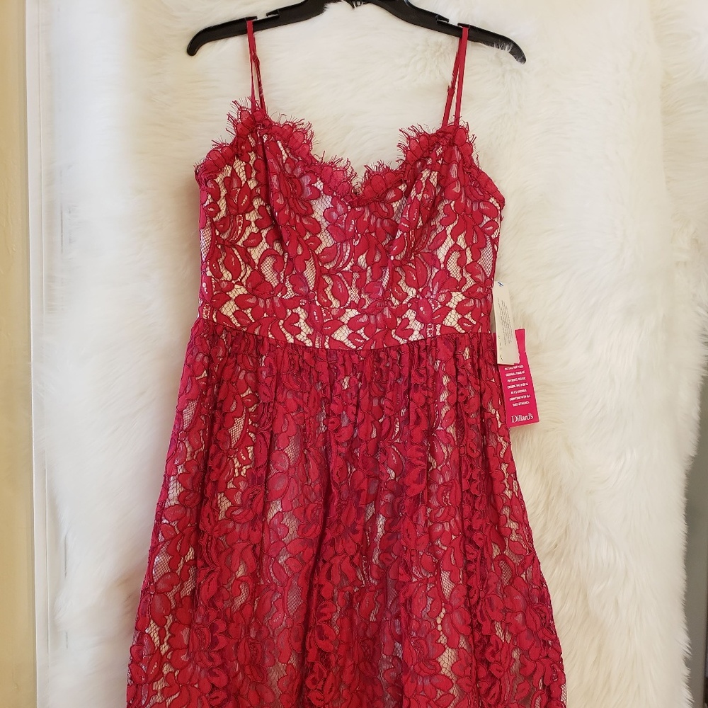 NWT Gorgeous   Eliza J   Lace Dress - Retail $198
